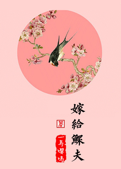 �޸�����