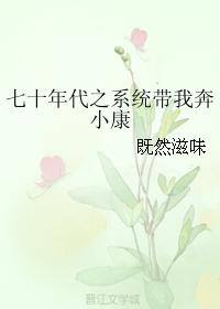 ��ʮ���֮ϵͳ���ұ�С��