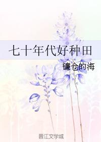 ��ʮ���������