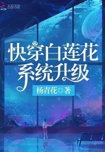 �촩������ϵͳ����