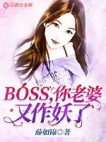 BOSS����������������