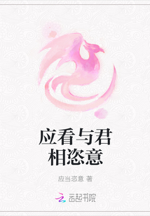 Ӧ�����������