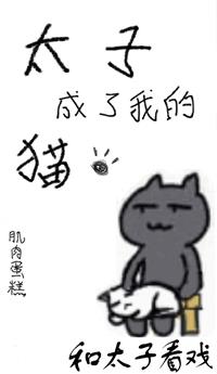 ̫�ӳ����ҵ�è�����飩