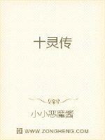 ʮ�鴫