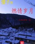 ɵ�ӵ�ȼ������