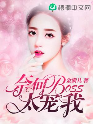 �κ�BOSS̫����