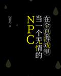 ��ȫϢ��Ϸ�ﵱһ�������NPC