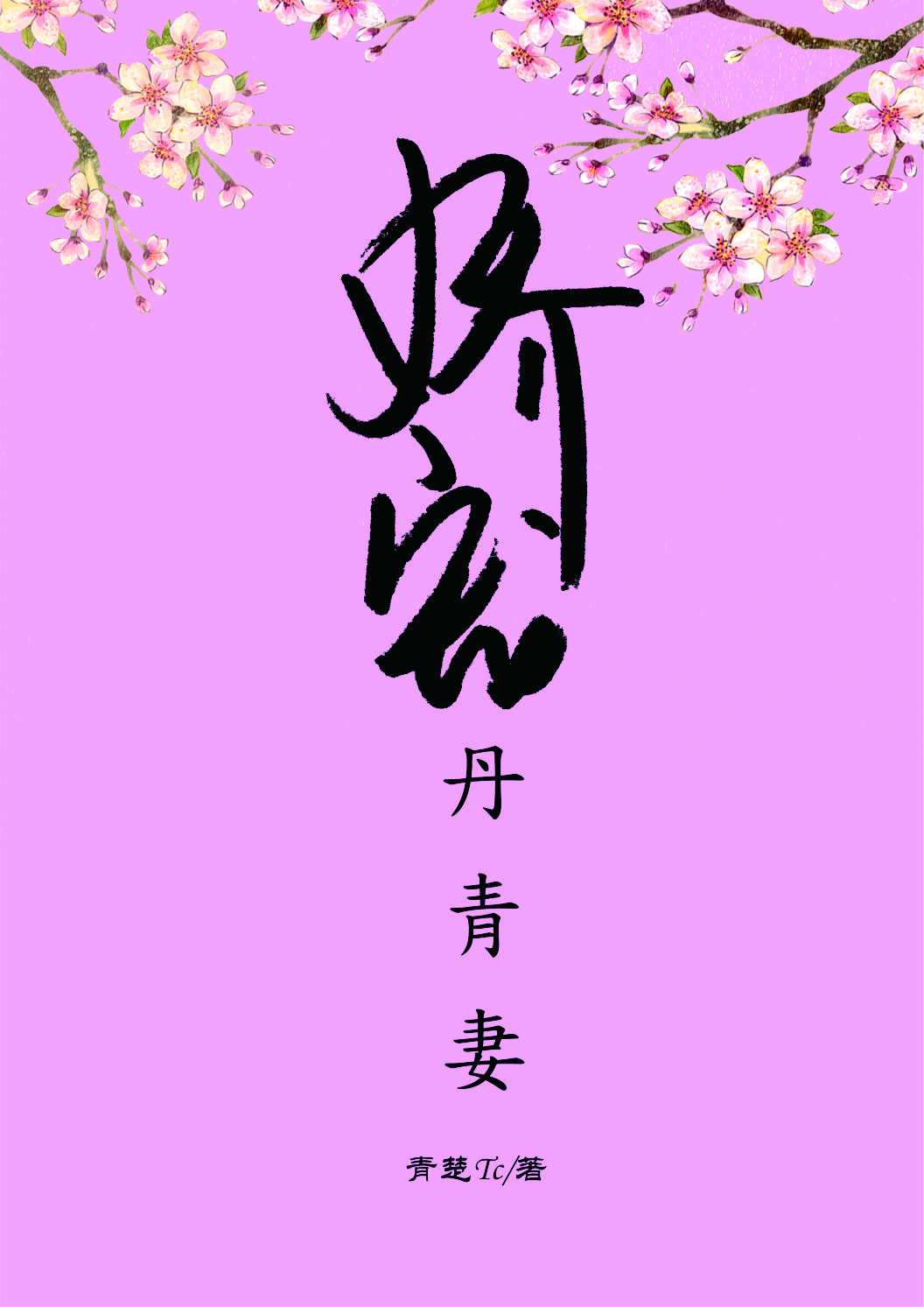 娇宠丹青妻
