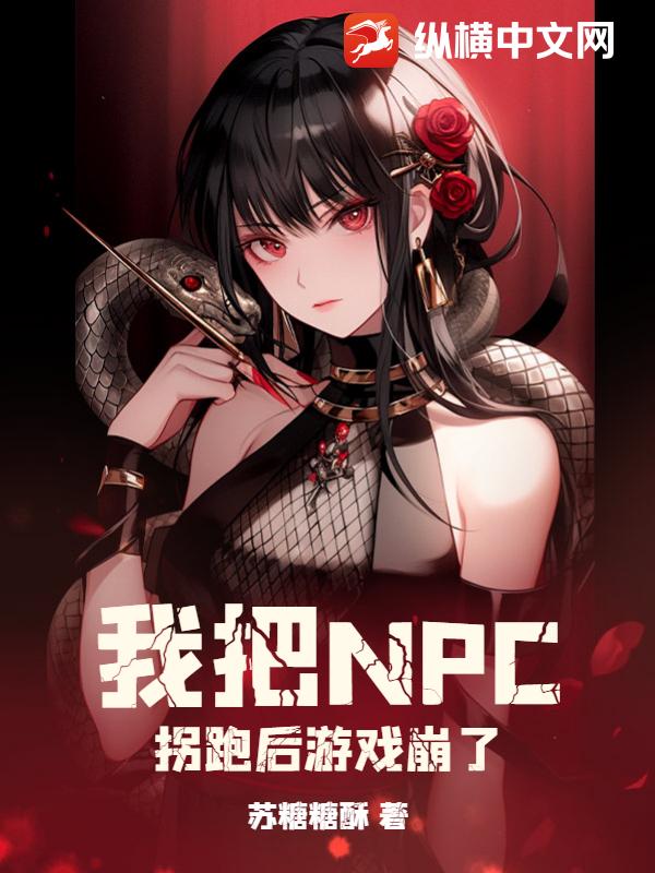 �Ұ�NPC���ܺ���Ϸ����